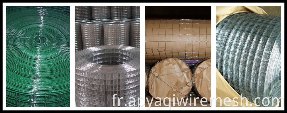 4'X100 'Tissu de quincaillerie galv 19g 1/2 Galvanisé Bird Cage Welded Mesh